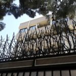 حفاظ شاخ گوزنی