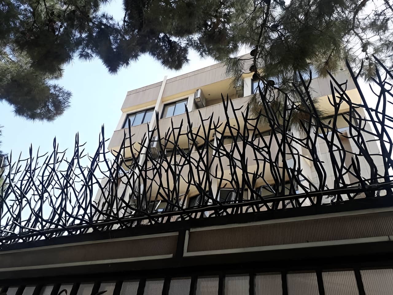 حفاظ شاخ گوزنی | ایمن آریا حفاظ شاخ گوزنی