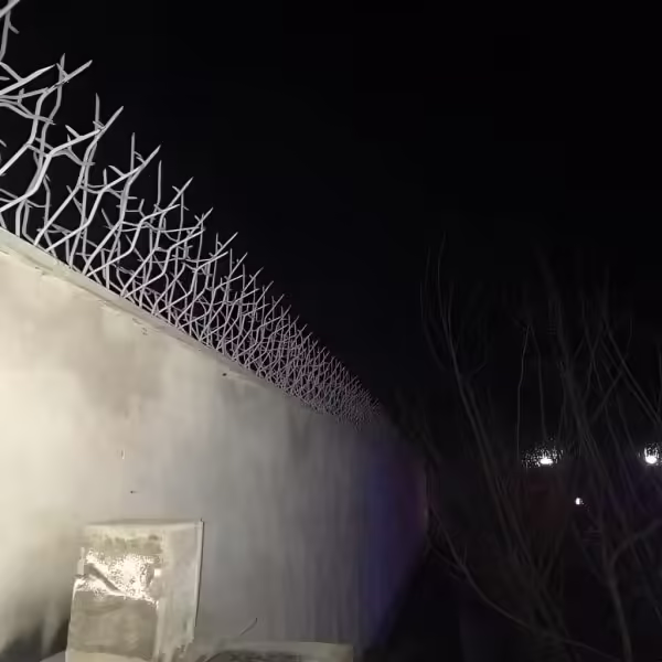 حفاظ شاخ گوزنی تراکم ۲۲ اقتصادی برای دیوار