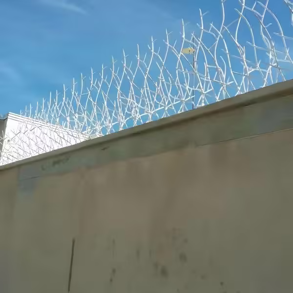 حفاظ شاخ گوزنی تراکم ۳۱ با رنگ سفارشی