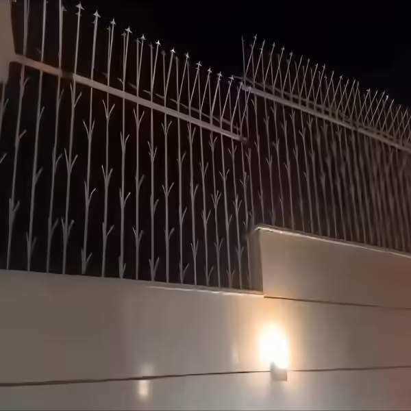 حفاظ شمشادی نصب شده بر روی دیوار