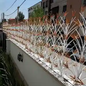 حفاظ لیلیوم