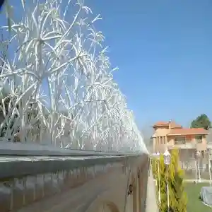 حفاظ نخل مرداب