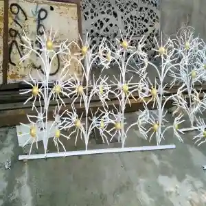 حفاظ گل آفتابگردان