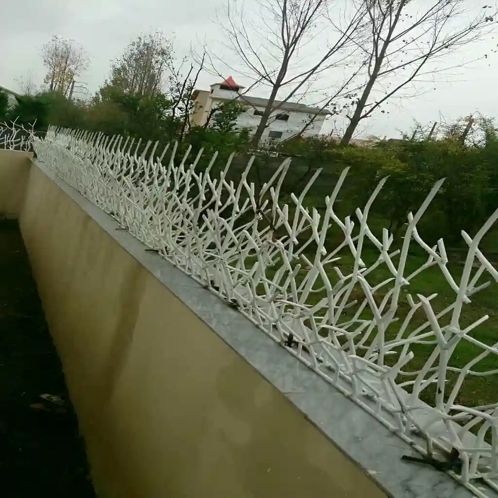 حفاظ شاخ گوزنی تراکم بالا سفید و طلایی