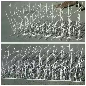 مشاهده عکس و بررسی قیمت مدل های متنوع حفاظ شاخ گوزنی