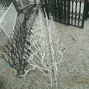 حفاظ شاخ گوزنی در نمای ویلایی