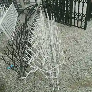 راهنمای خرید حفاظ شاخ گوزنی – مدل ها، نصب و تولیدکننده