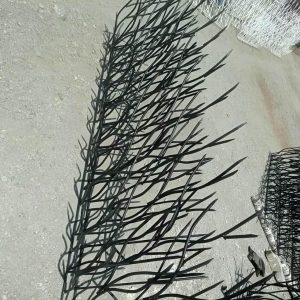 حفاظ شاخ گوزنی نصب شده در دیوار ویلایی
