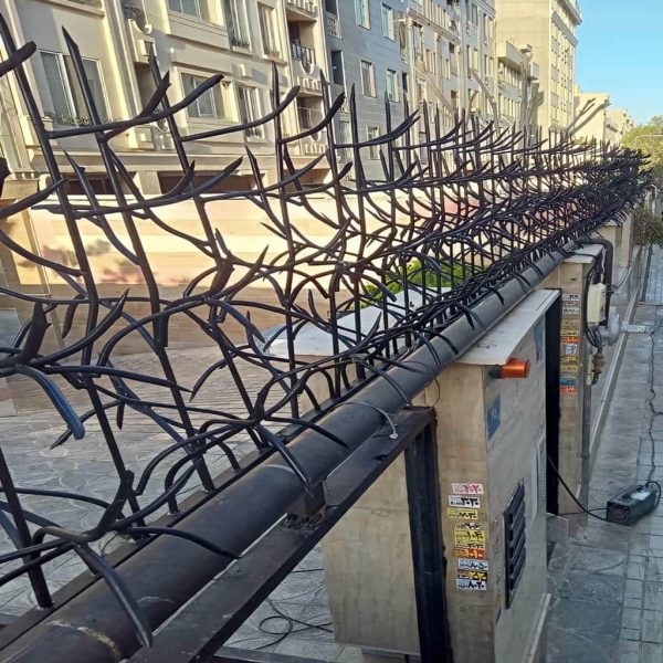 خرید حفاظ شاخ گوزنی با ابعاد سفارشی