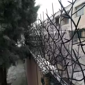 خرید و تولید حفاظ شاخ گوزنی