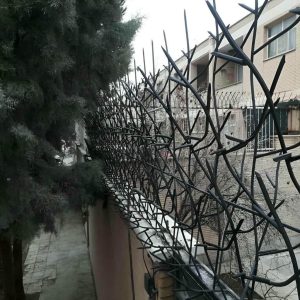 مدل‌های مختلف حفاظ شاخ گوزنی