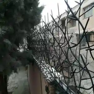 خرید و تولید حفاظ شاخ گوزنی