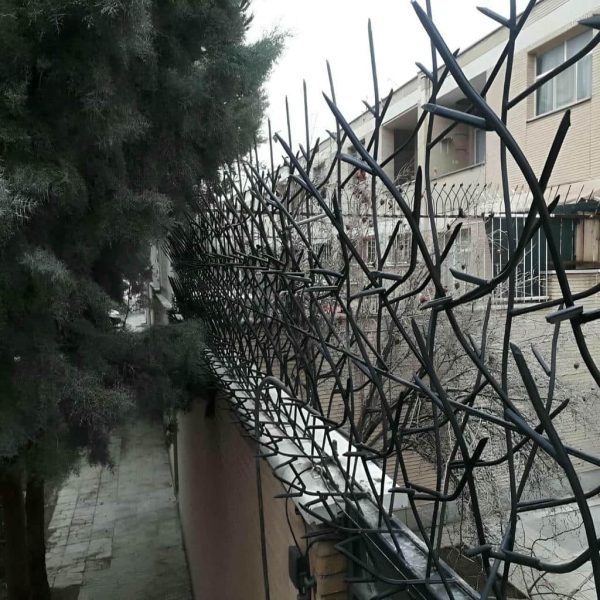 مدل‌های مختلف حفاظ شاخ گوزنی