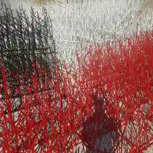 بهترین حفاظ دیوارهای آپارتمان و ویلاها با قیمت مناسب