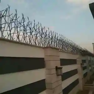 حفاظ شاخ گوزنی چیست؟