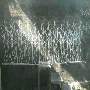 مشخصات حفاظ شاخ گوزنی