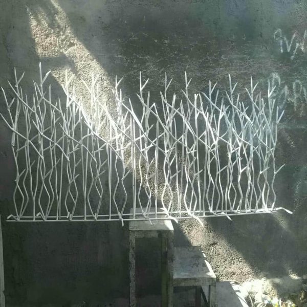 مشخصات حفاظ شاخ گوزنی