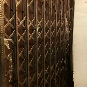 تصویر جمع‌شدن حفاظ آکاردئونی تمام گل سلطنتی کنار دیوار