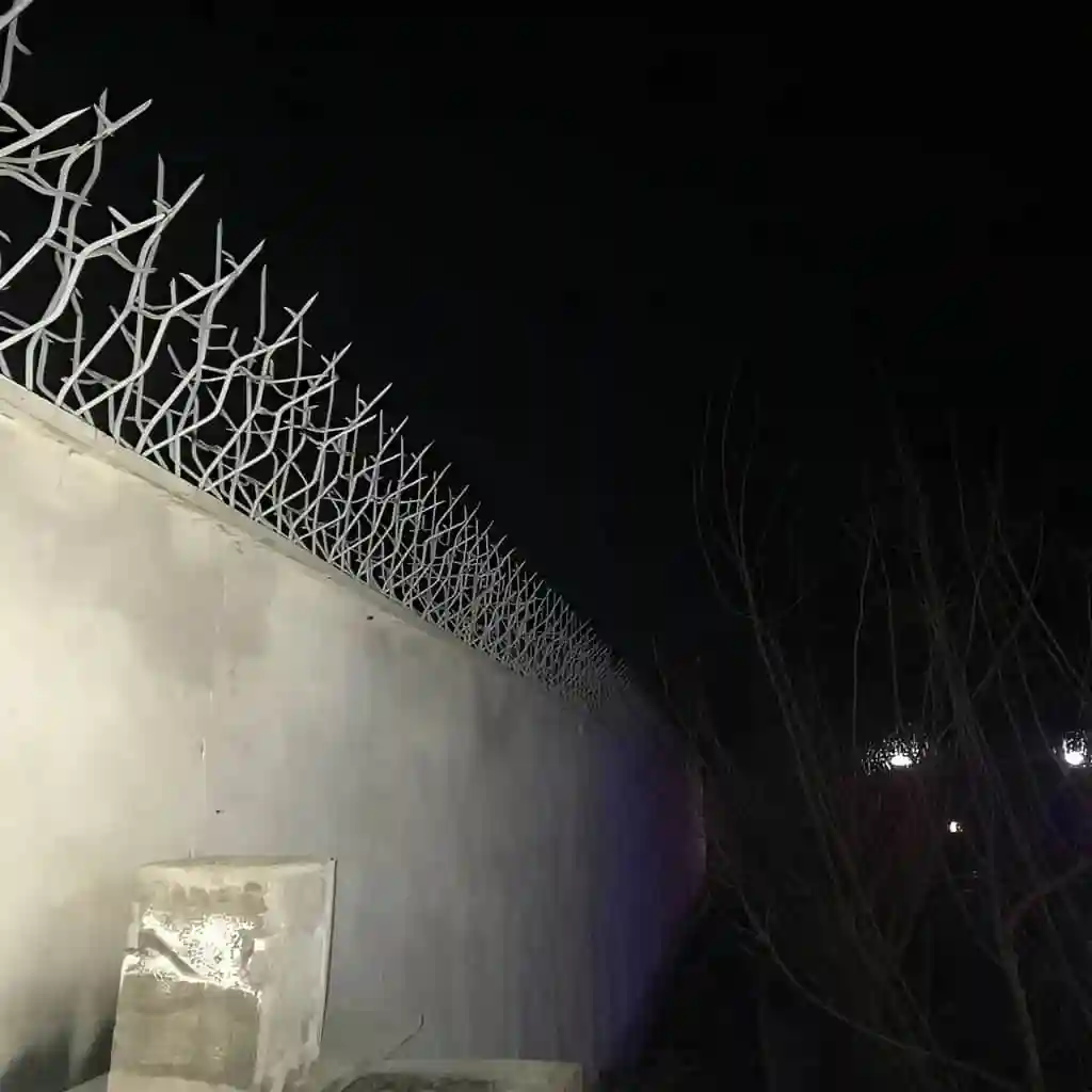 حفاظ شاخ گوزنی تراکم ۲۲ اقتصادی برای دیوار