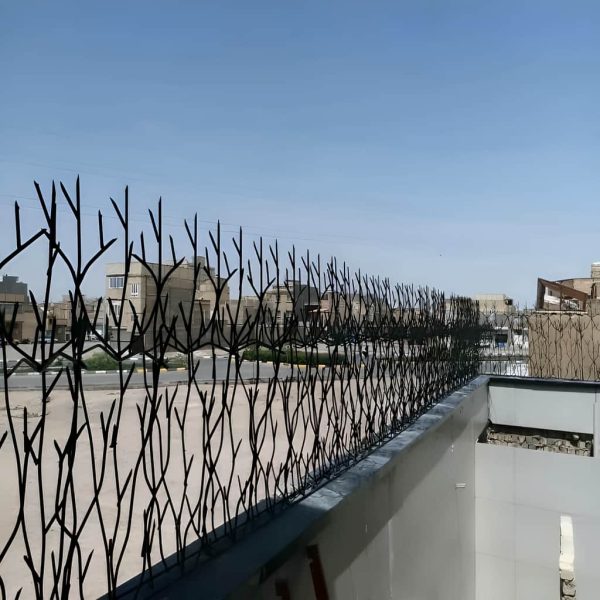 نصب حفاظ شاخ گوزنی تراکم ۳۱ روی دیوار