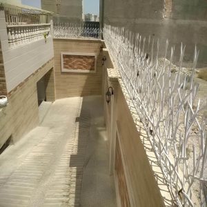 حفاظ شاخ گوزنی تراکم ۳۴ نصب شده روی دیوار