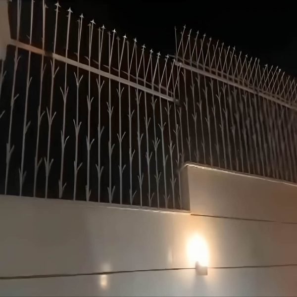 حفاظ شمشادی نصب شده بر روی دیوار