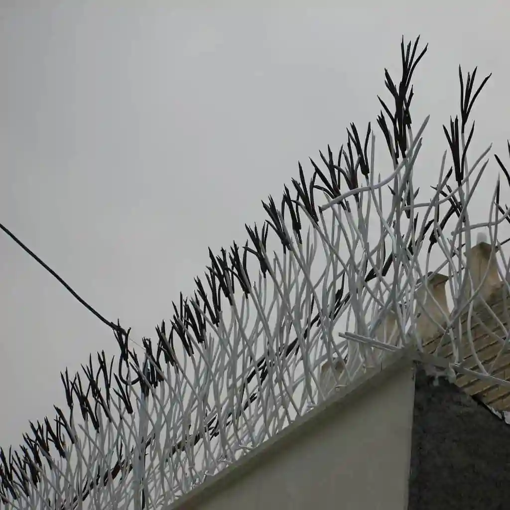 حفاظ غنچه ای در باغات و محیط‌های سبز