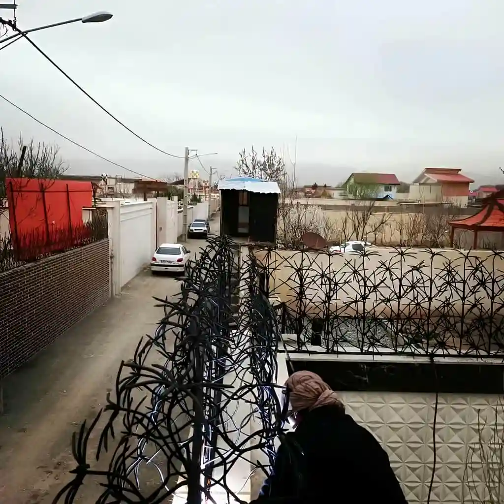 حفاظ نخل مرداب نصب شده بر روی دیوار