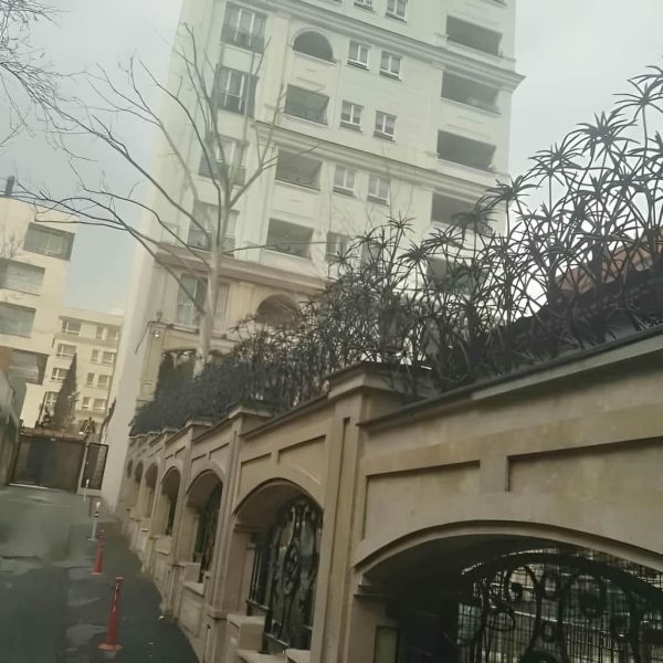 حفاظ نخل مرداب با طراحی خاص و طبیعی