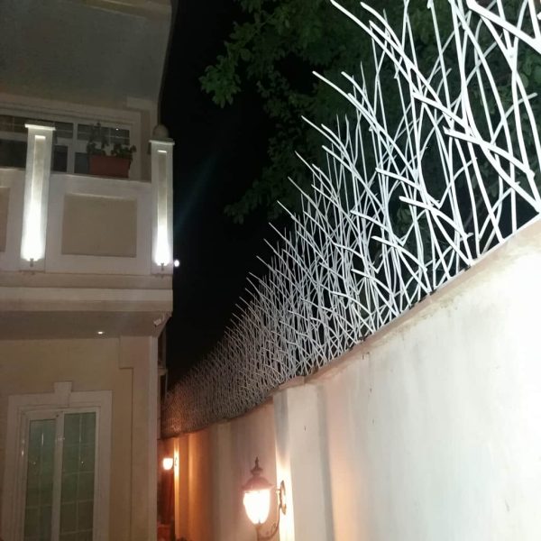 حفاظ نیزار نصب شده بر روی دیوار