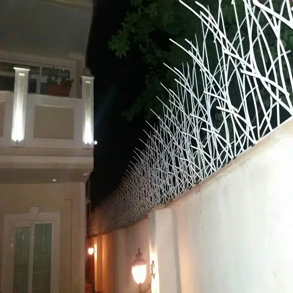 حفاظ نیزار نصب شده بر روی دیوار