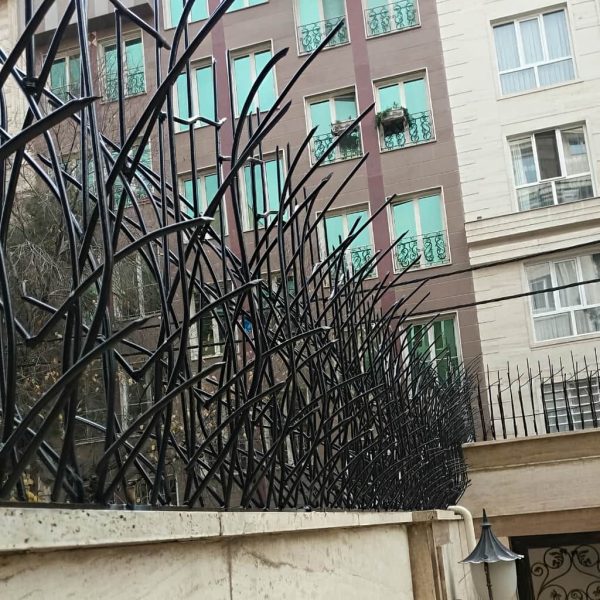حفاظ نیزار در باغات و محیط‌های سبز