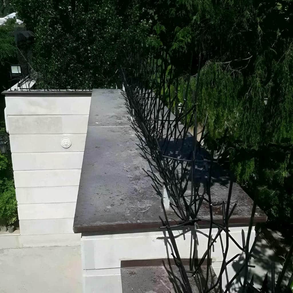 حفاظ شاخ گوزنی در نوشهر