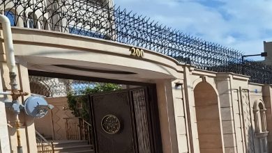 حفاظ شاخ گوزنی در رفسنجان