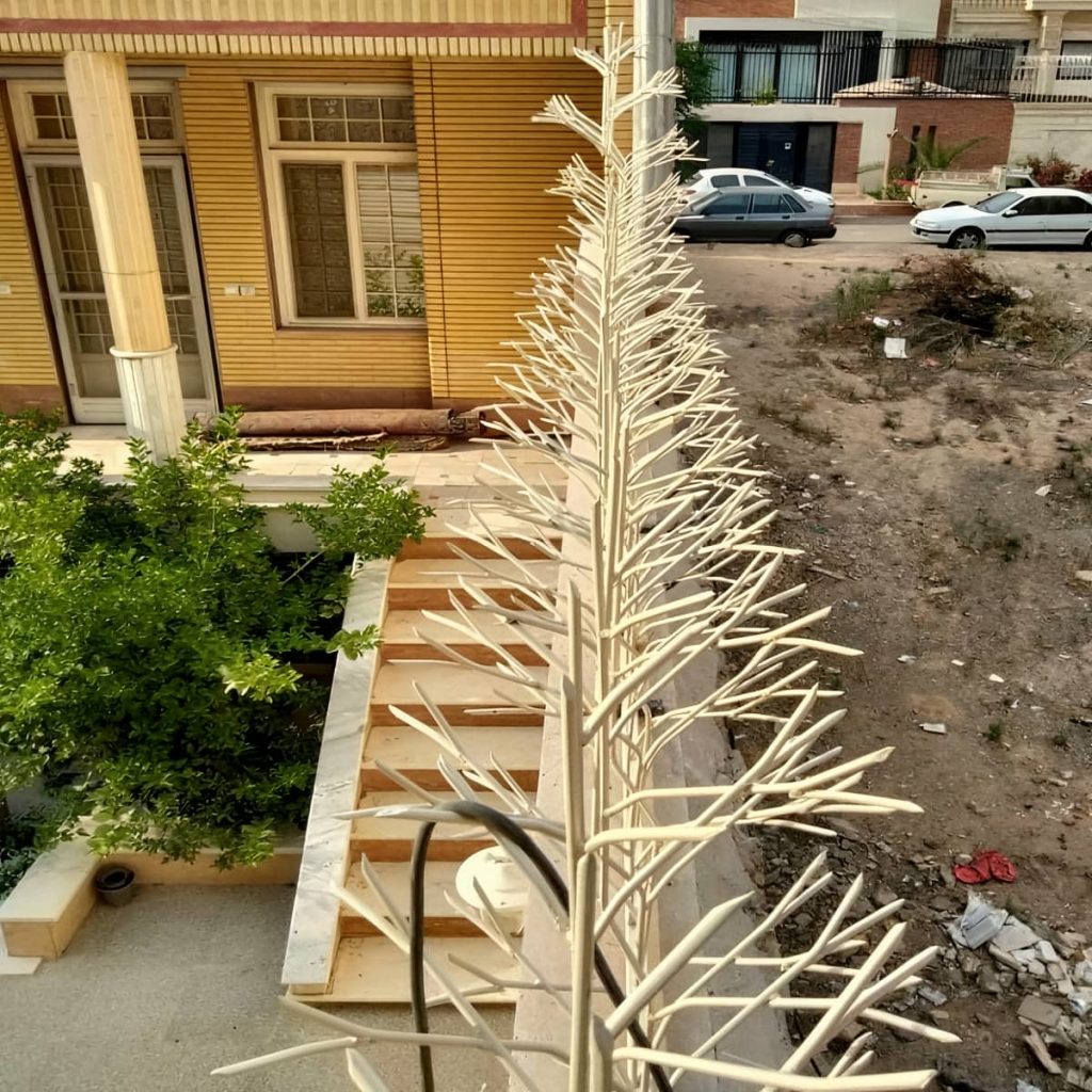 قیمت حفاظ شاخ گوزنی باغ مسکونی در رشت