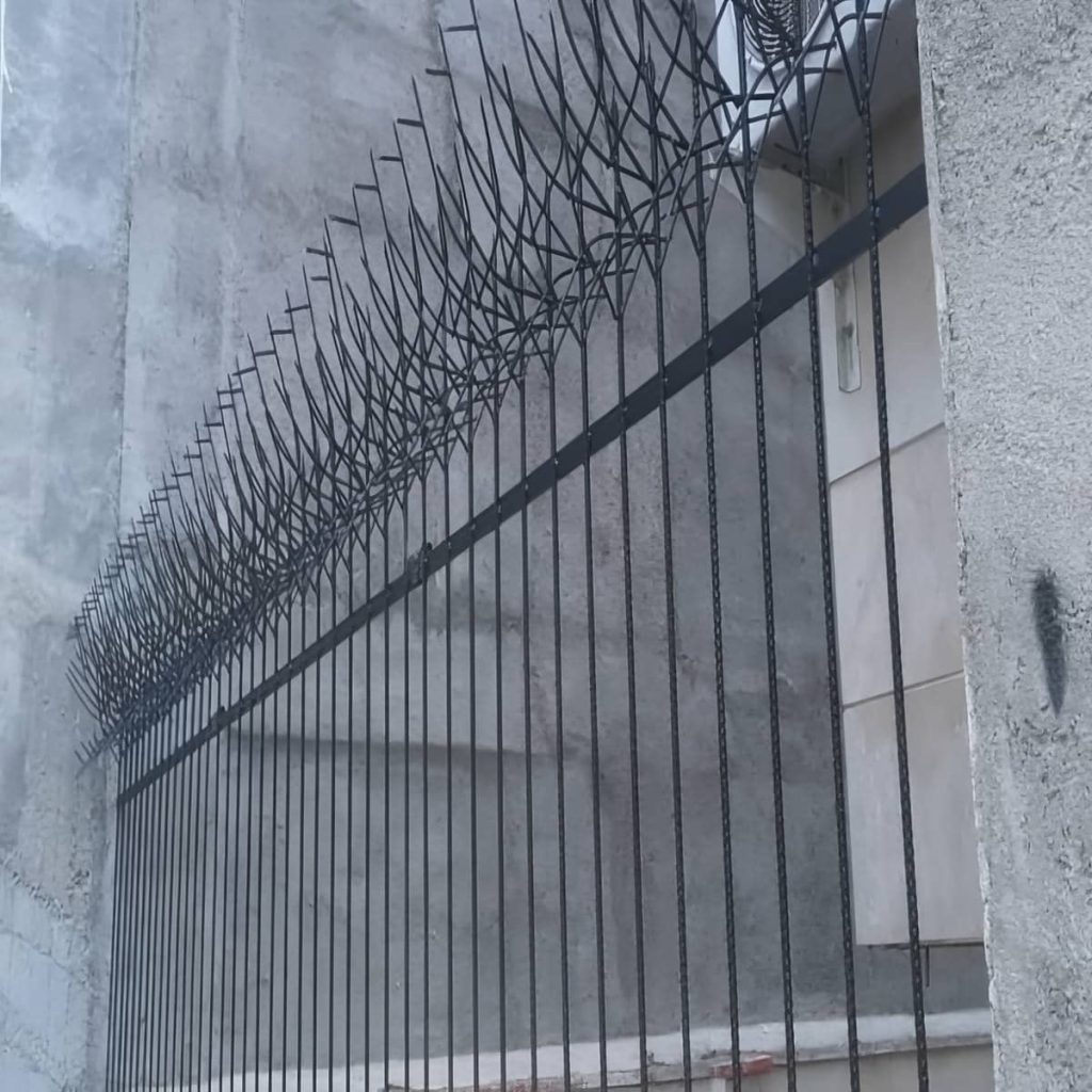 قیمت حفاظ شاخ گوزنی دیوار ویلا در زاهدان