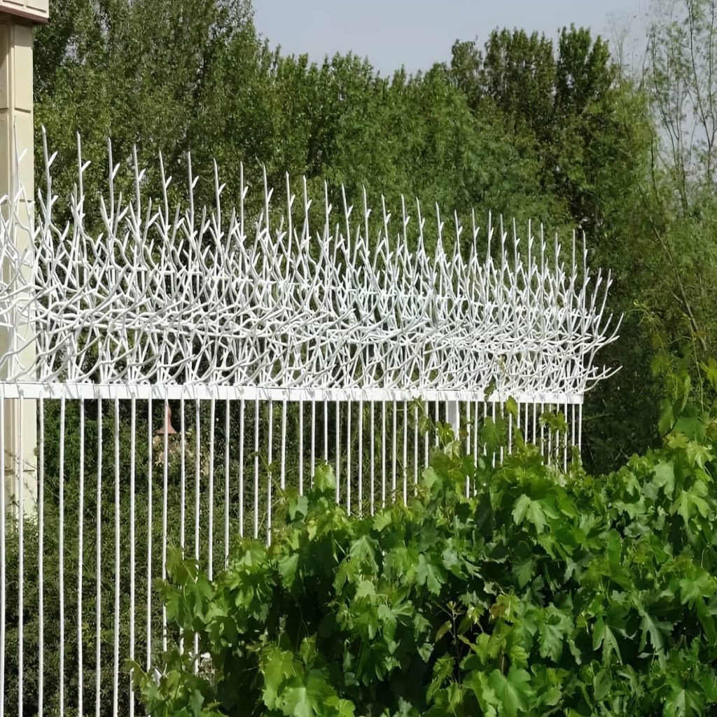 قیمت حفاظ شاخ گوزنی دیوار ویلا در ایرانشهر