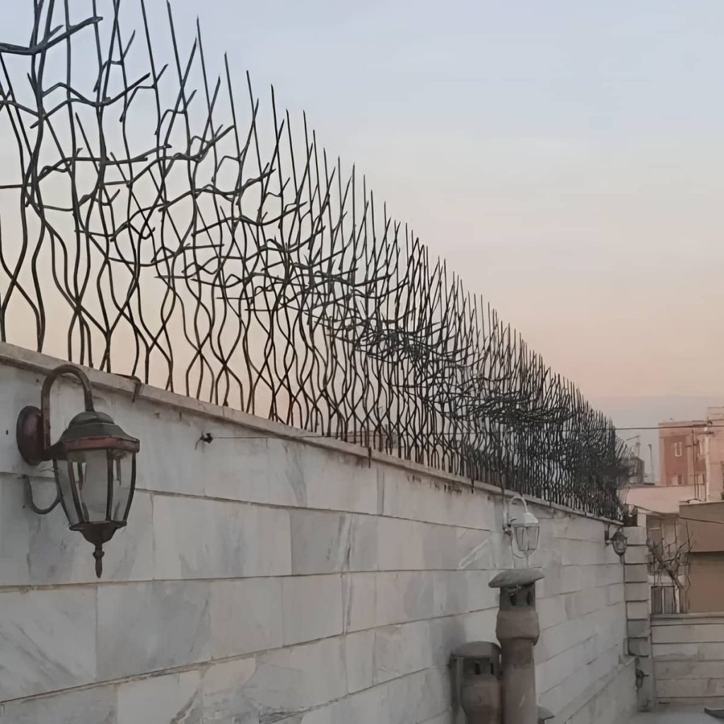 حفاظ شاخ گوزنی در شهریار