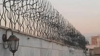 حفاظ شاخ گوزنی در شهریار