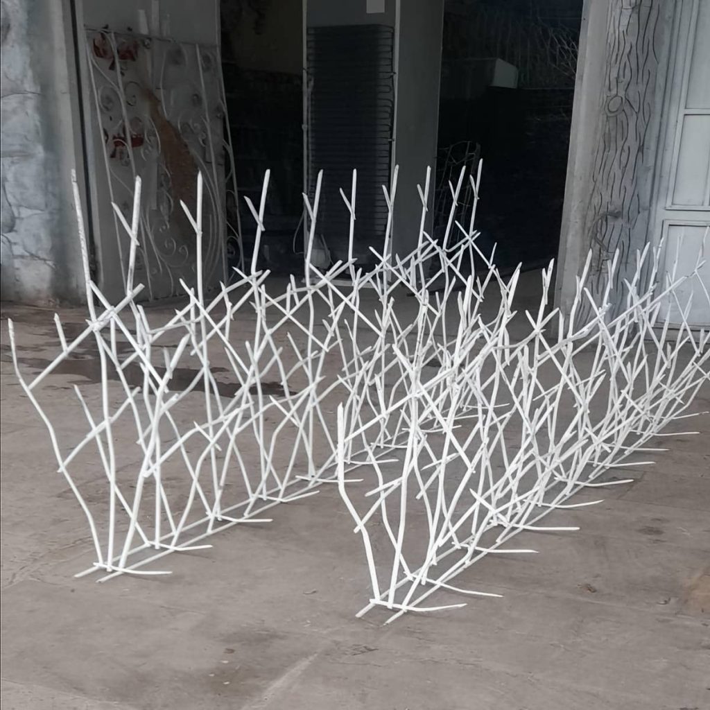 کارخانه حفاظ شاخ گوزنی اصولی در نظرآباد