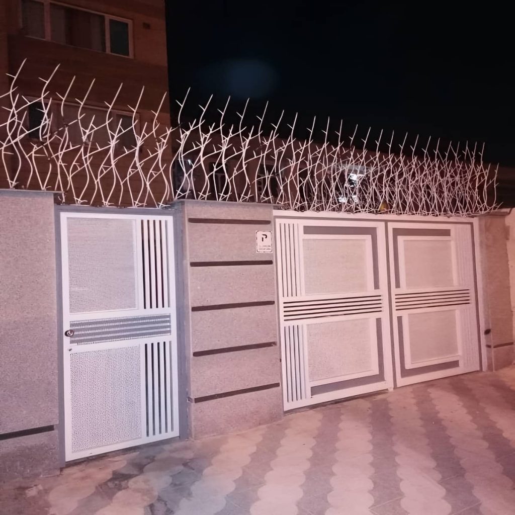 حفاظ شاخ گوزنی در بندر لنگه