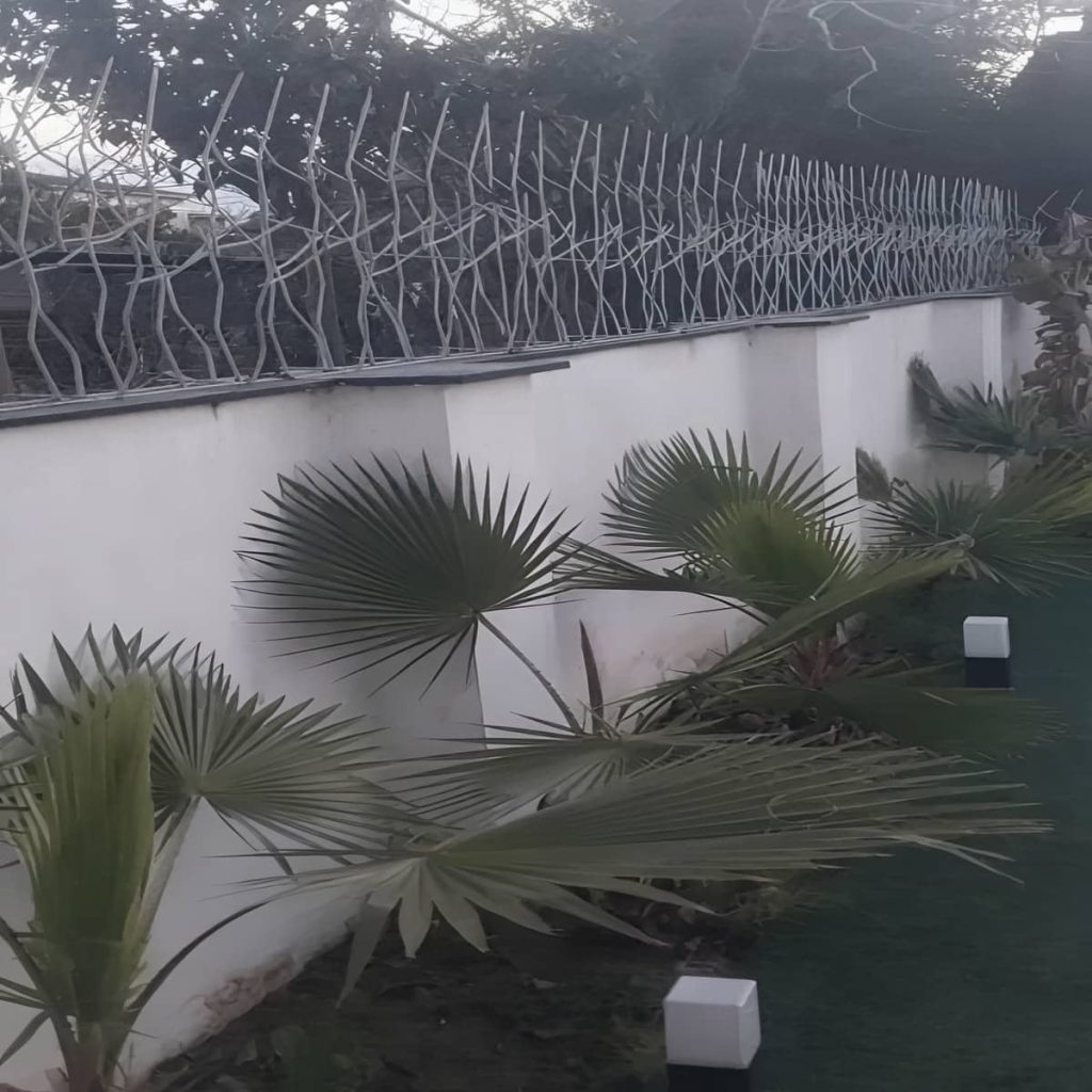 قیمت حفاظ شاخ گوزنی تراکم بالا در ساوه