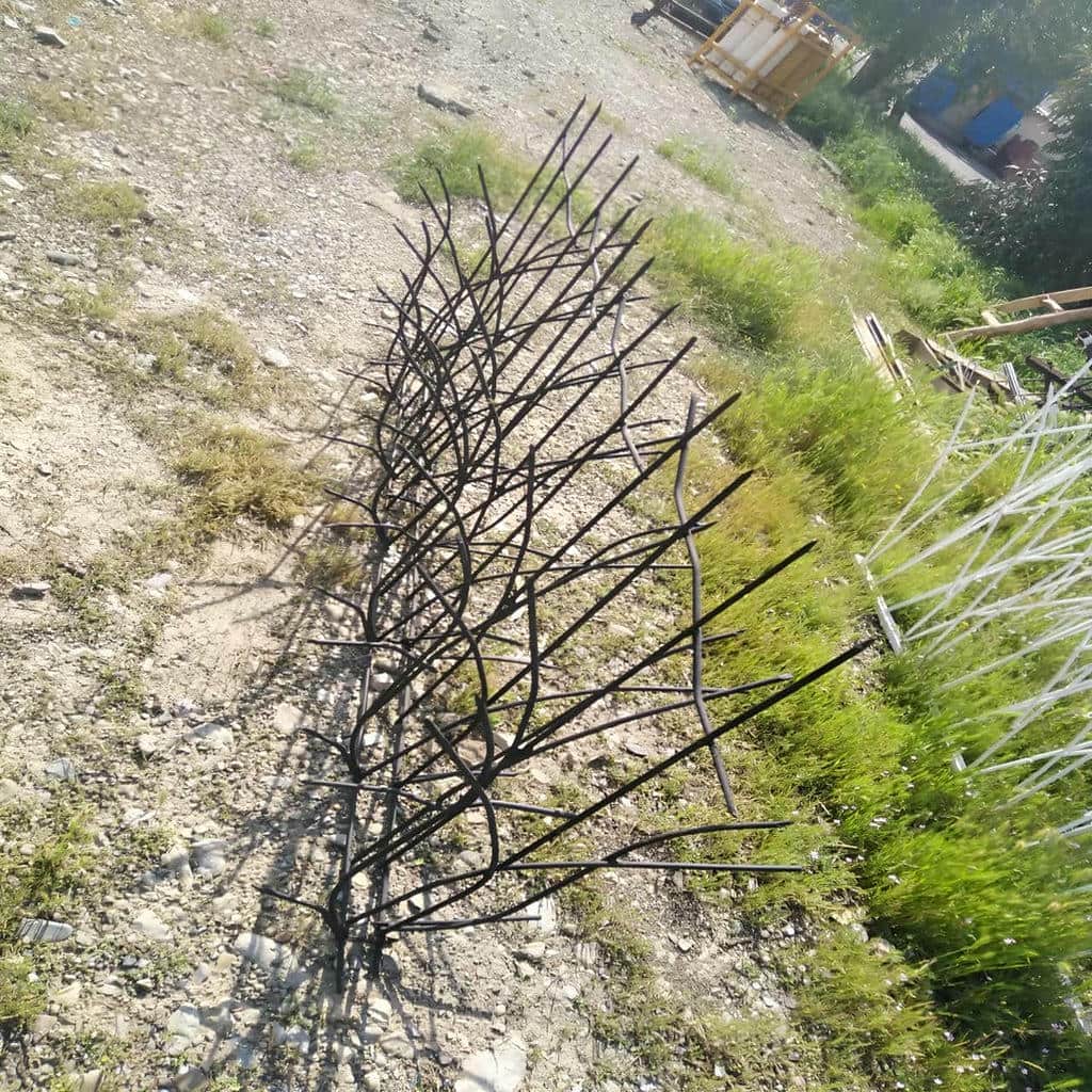حفاظ شاخ گوزنی در مهرشهر کرج