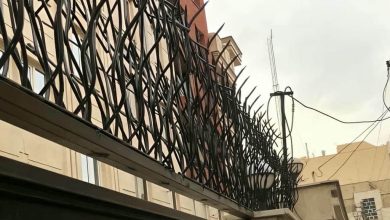 حفاظ شاخ گوزنی در تهران