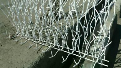 حفاظ شاخ گوزنی در بجنورد