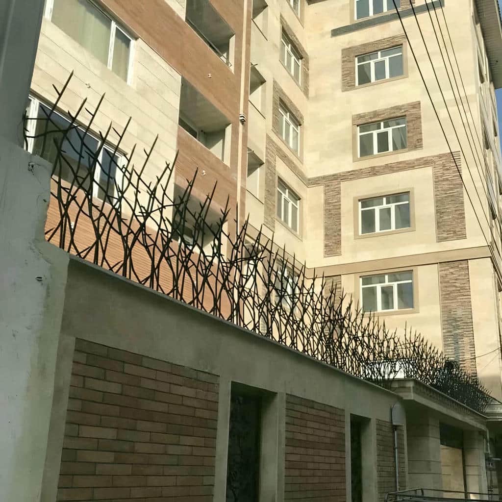 حفاظ شاخ گوزنی در کردان