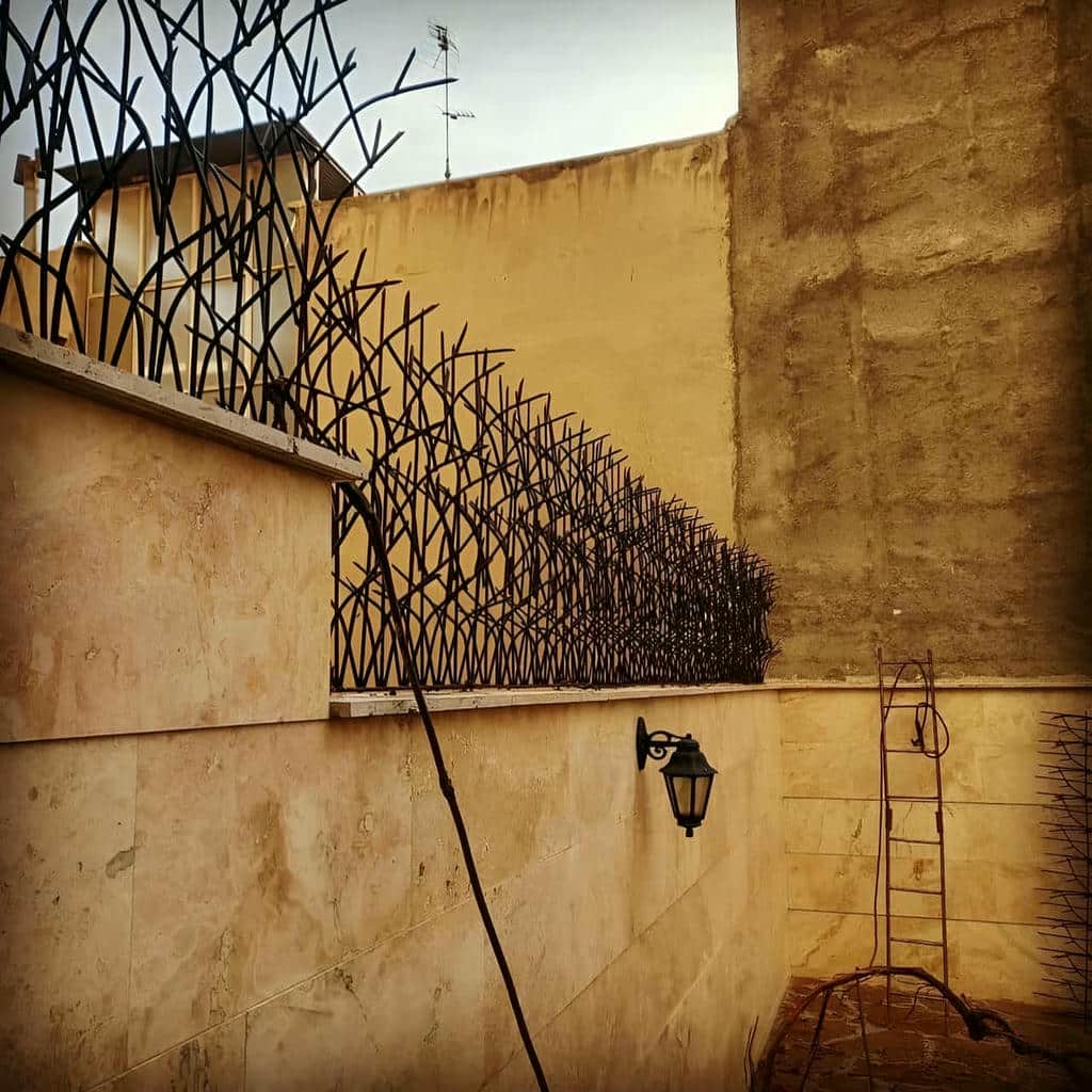 خرید حفاظ شاخ گوزنی پوشش کویری در سبزوار