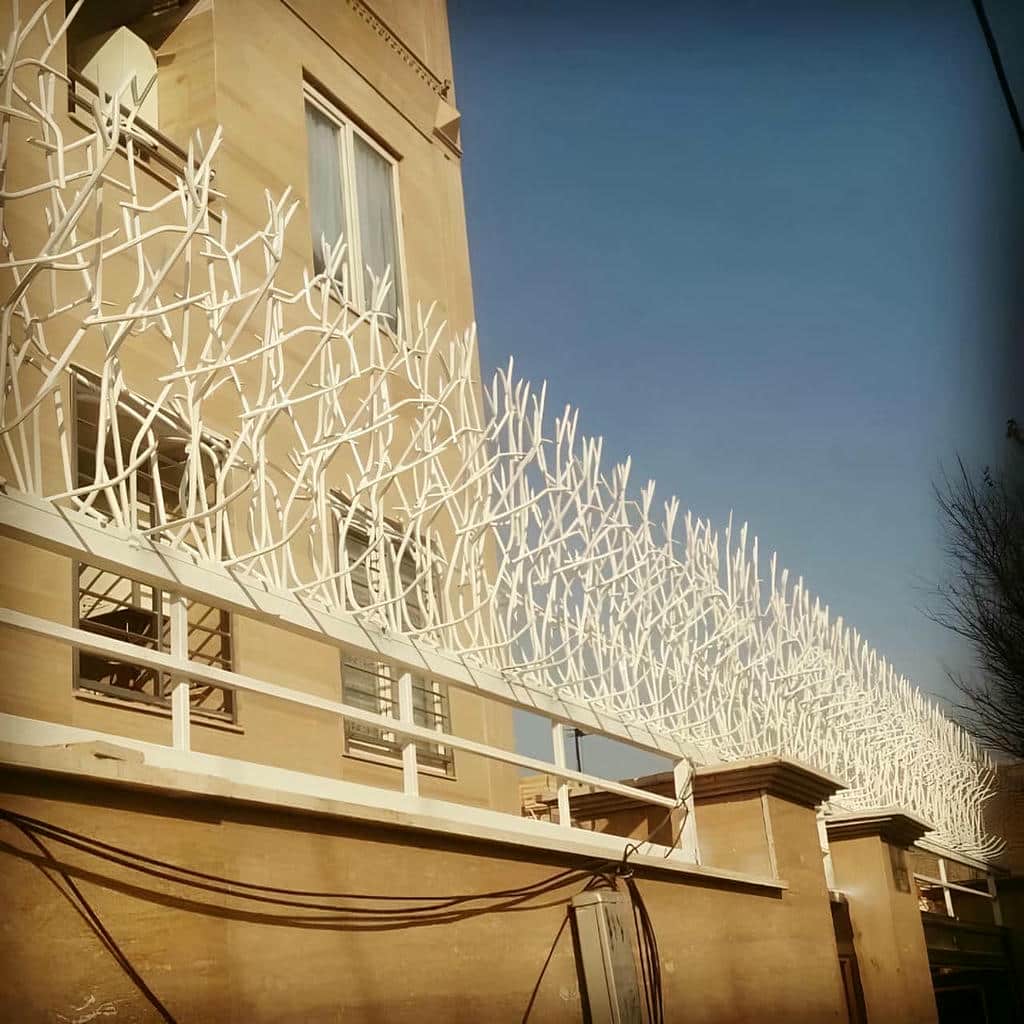 حفاظ شاخ گوزنی در کرمان