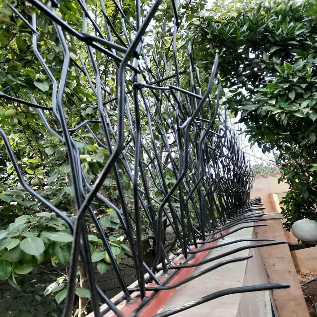 خرید حفاظ شاخ گوزنی ارزش خرید در اراک